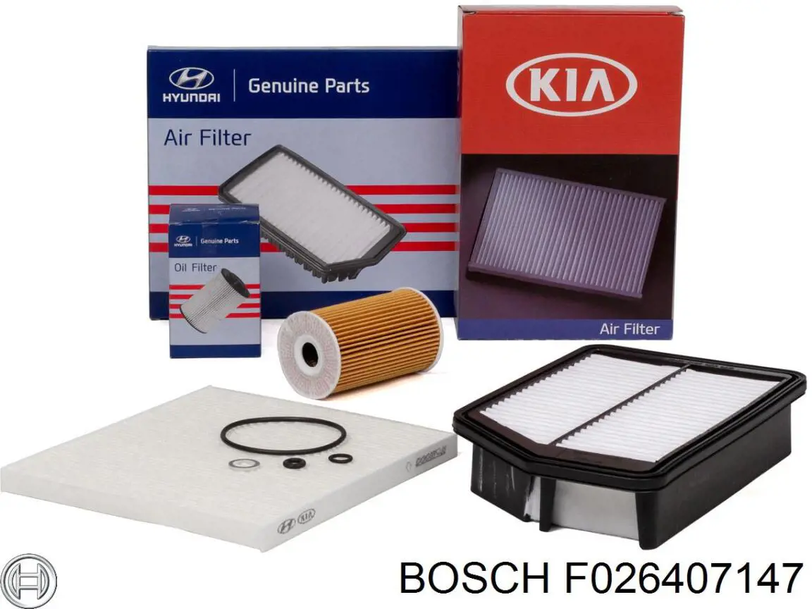 Купити F026407147 Bosch Фільтр очищення масла відцентровий