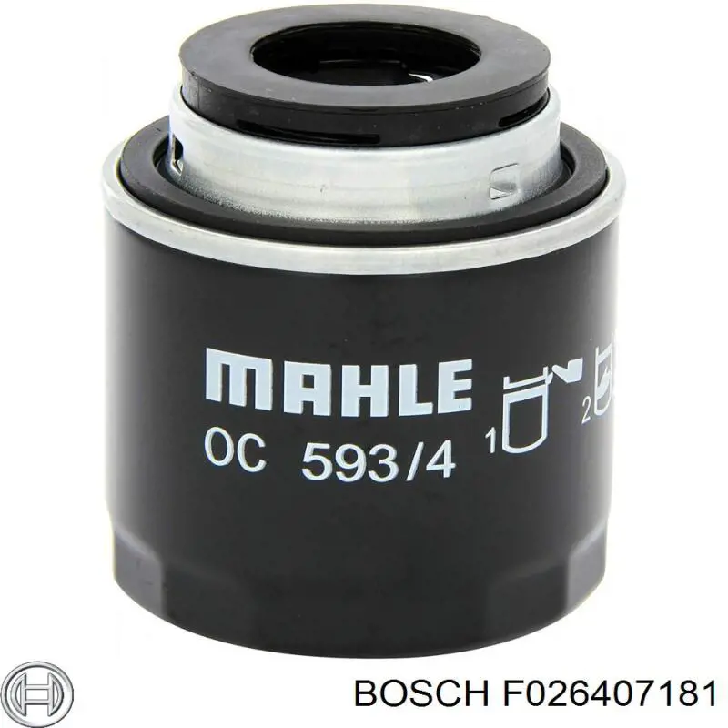 Купити F026407181 Bosch Фільтр очищення масла відцентровий