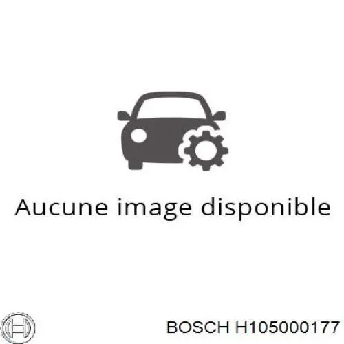 Розпилювач дизельної форсунки H105000177 Bosch