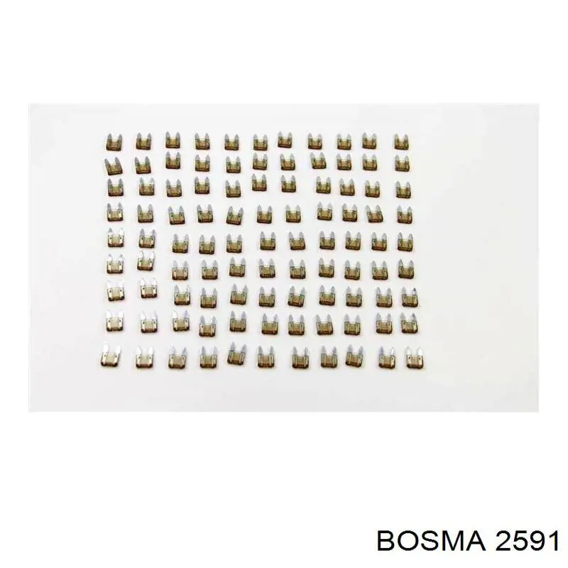  2591 Bosma