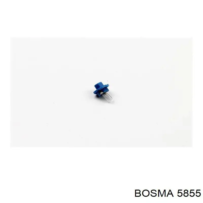 6487 Bosma 