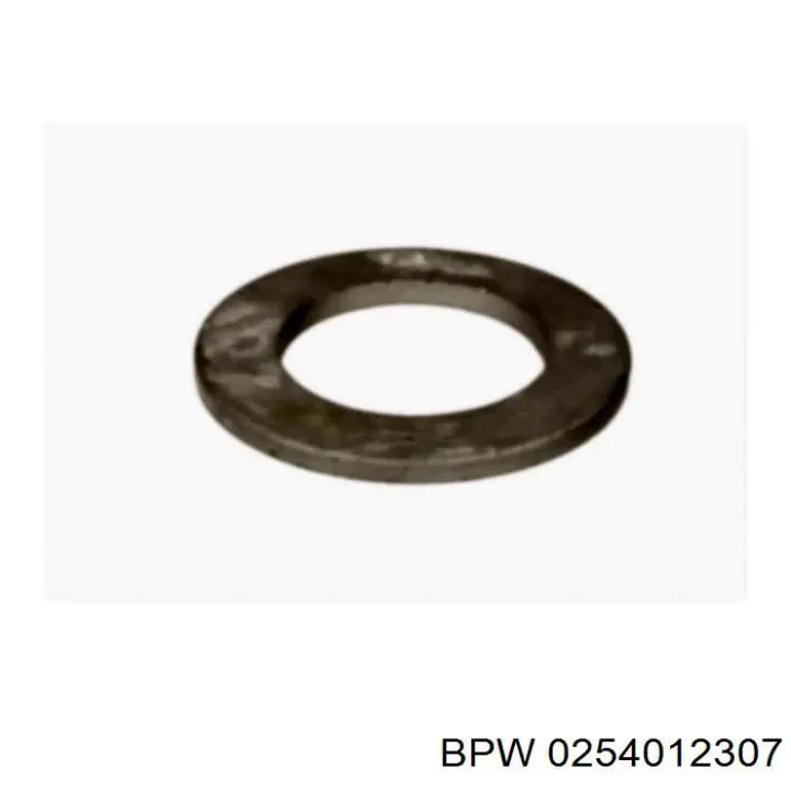 0254012307 BPW 