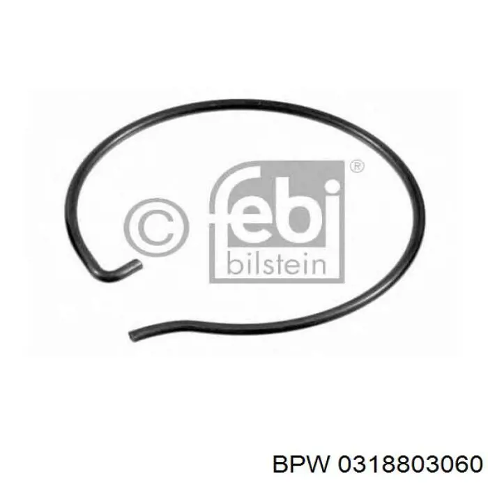 0318803060 BPW Кільце стопорне підшипника задньої маточини