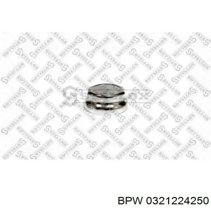 Заглушка маточини Sampa Otomotiv‏ 70064 ціна, від 6.30 USD