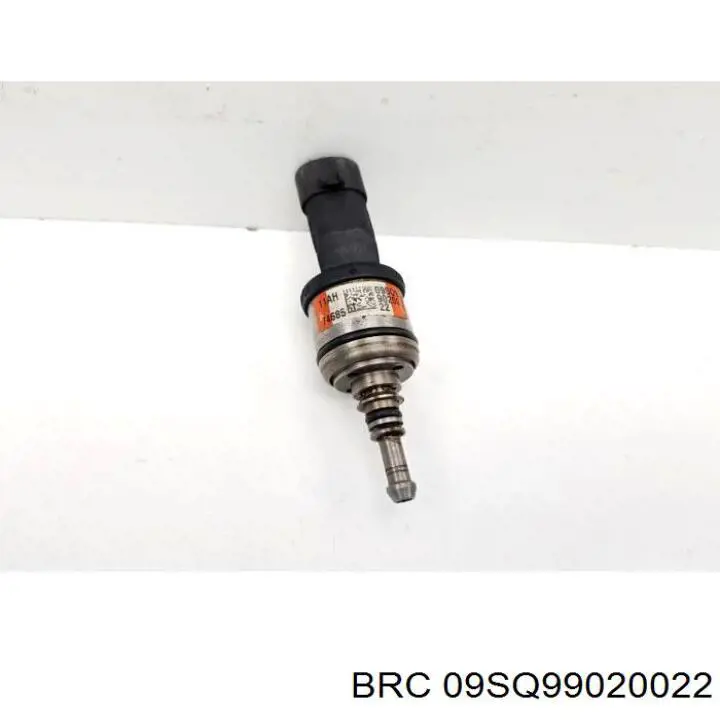 09SQ99020022 BRC 