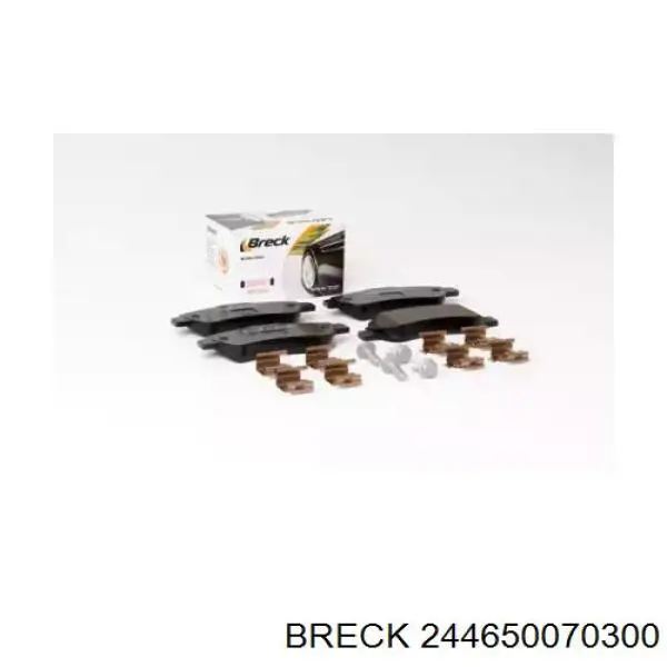 Купити 244650070300 Breck Задні колодки