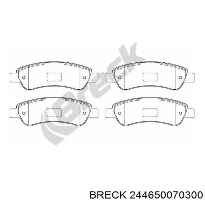 Задні гальмівні колодки 244650070300 Breck