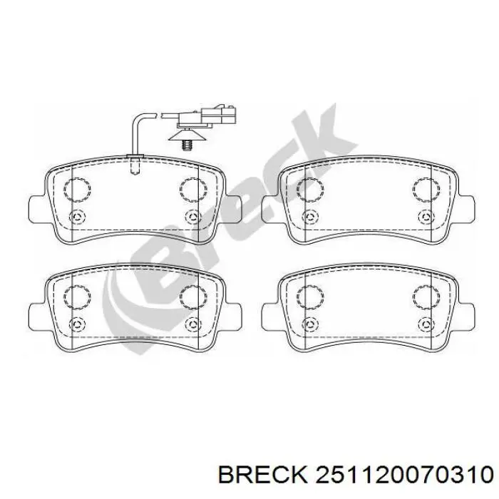 Задні гальмівні колодки 251120070310 Breck