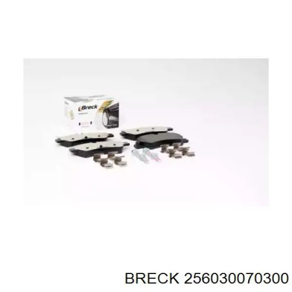 Купити 256030070300 Breck Задні колодки