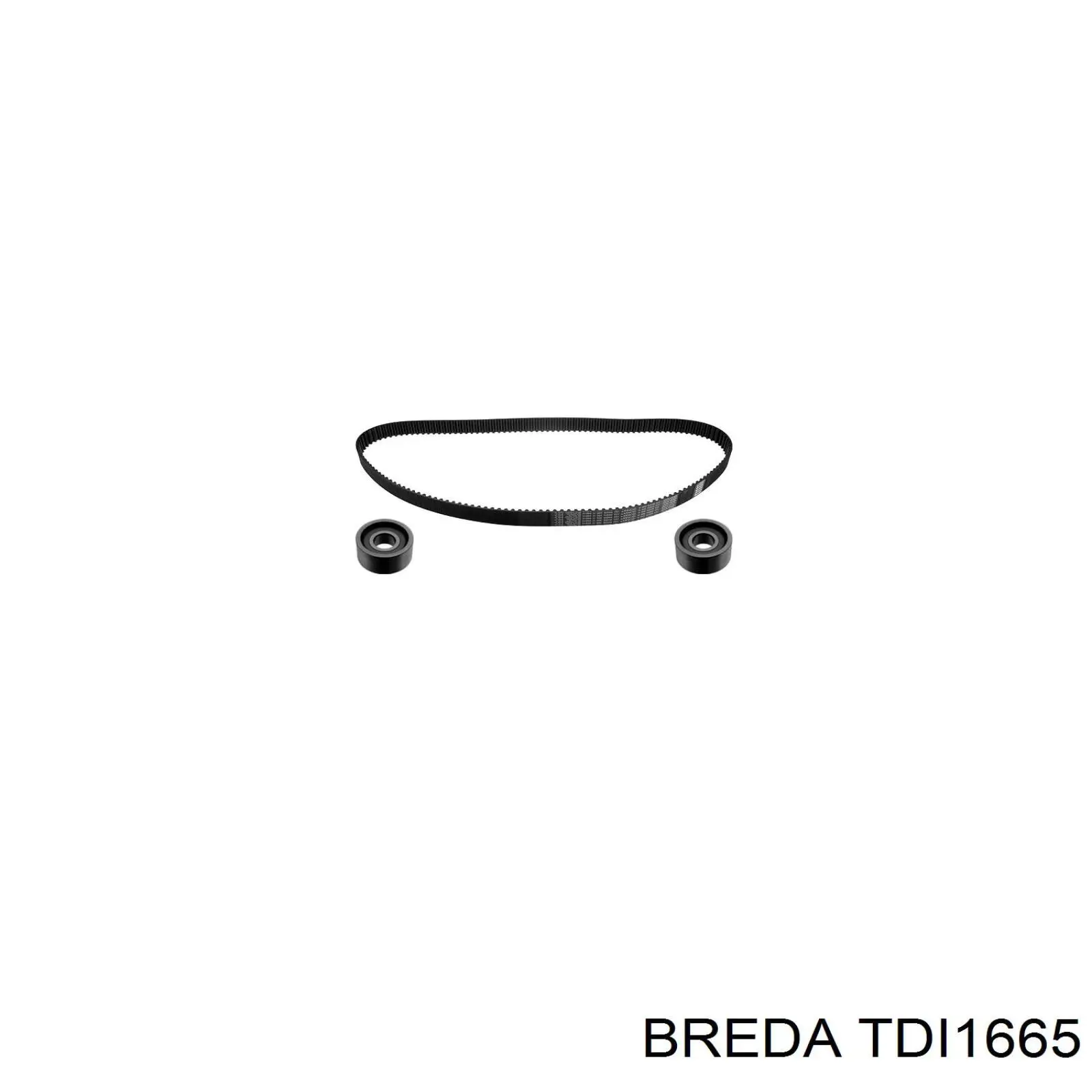 Ролик паразитний ГРМ TDI1665 Breda