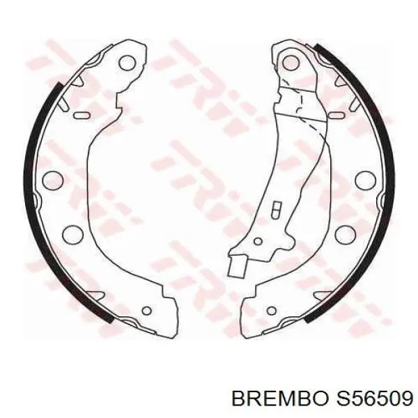 Колодки гальмові задні, барабанні S56509 Brembo