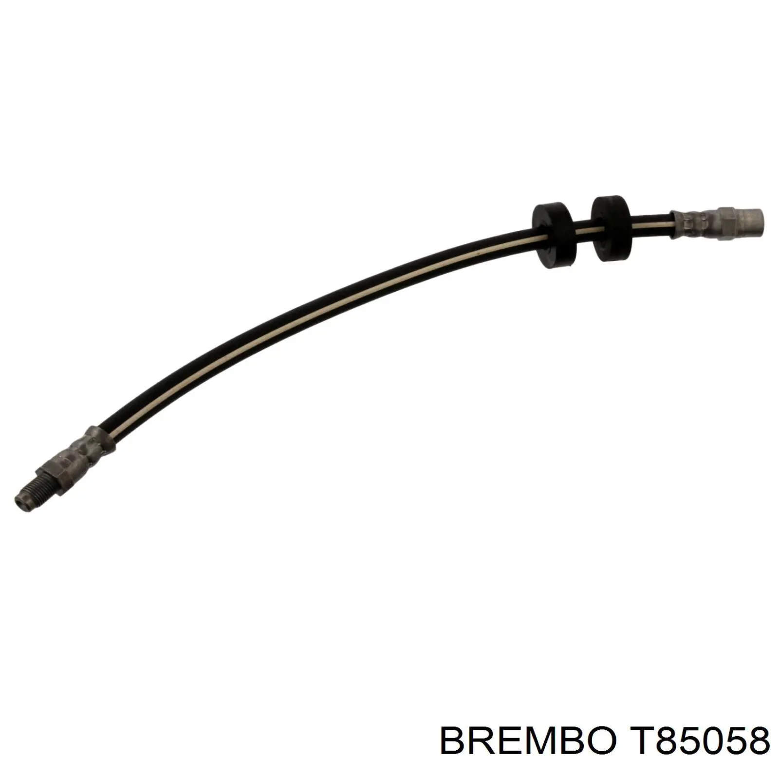 Купити T85058 Brembo Гальмівні шланги передні