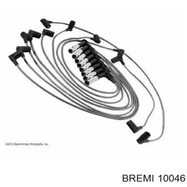  10046 Bremi