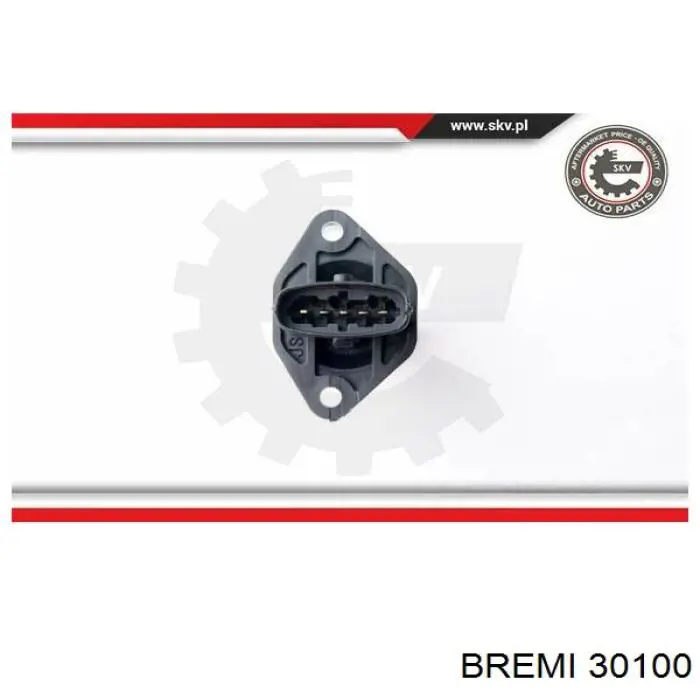 ДМРВ 30100 Bremi