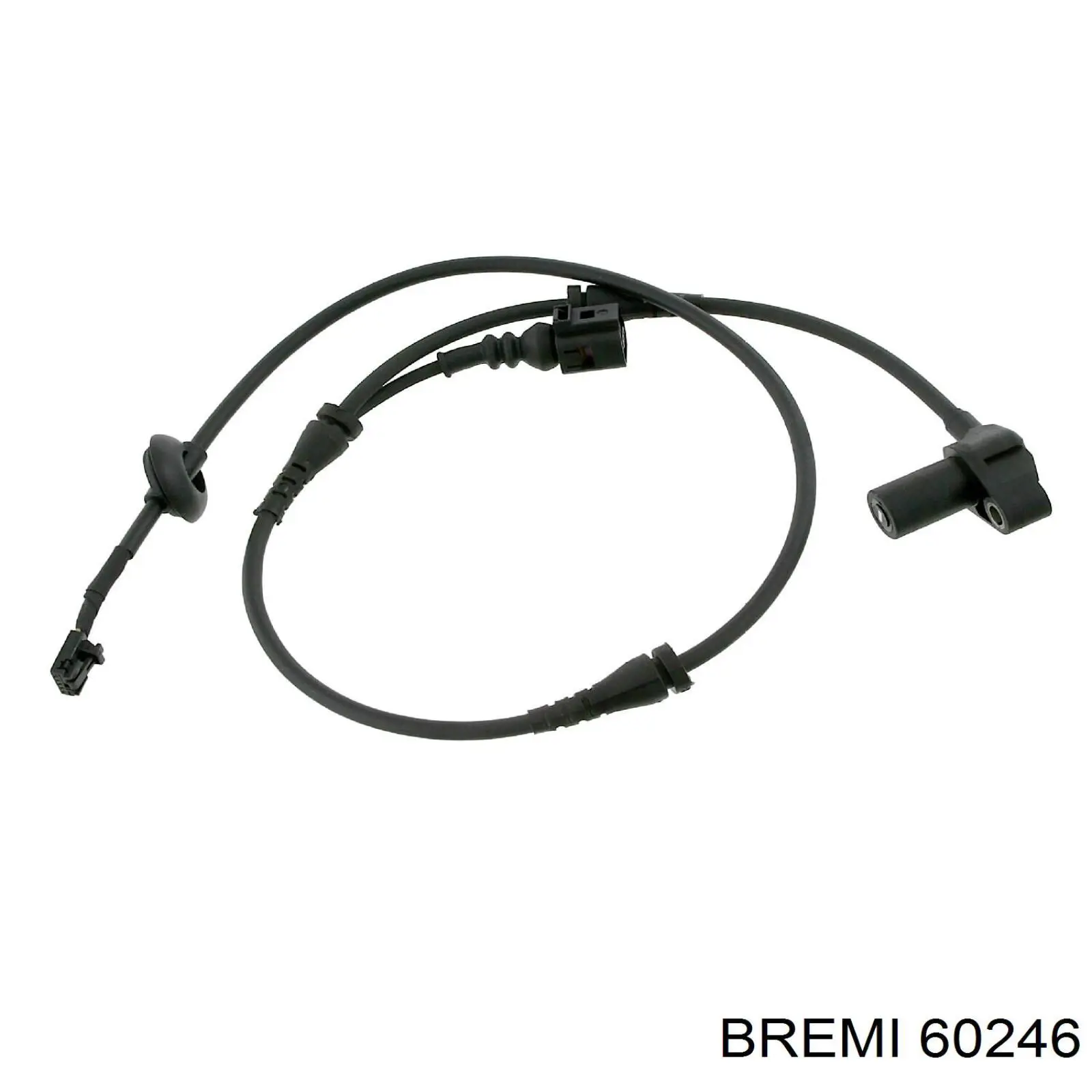 60246 Bremi 