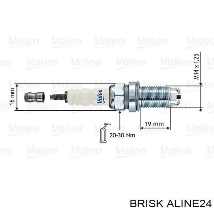 ALINE24 Brisk 