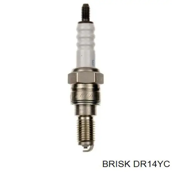  DR14YC Brisk