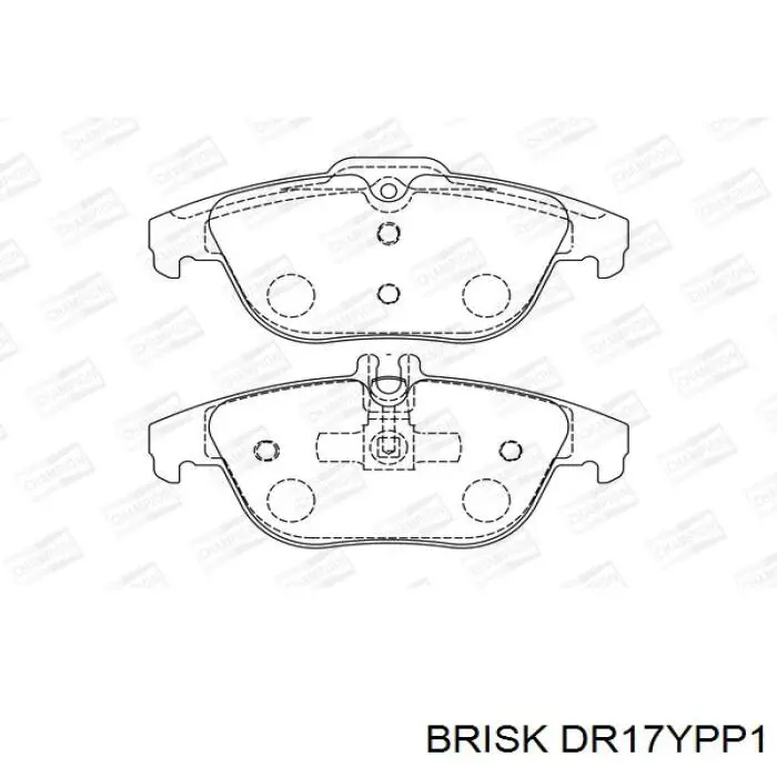 DR17YPP1 Brisk 
