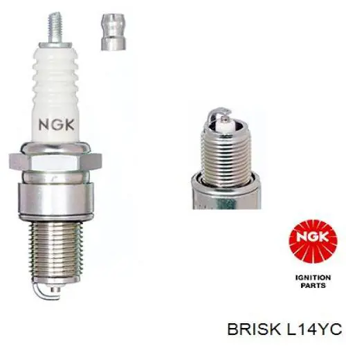 L14YC Brisk 