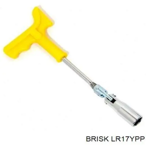  LR17YPP Brisk