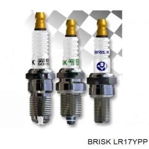 LR17YPP Brisk 
