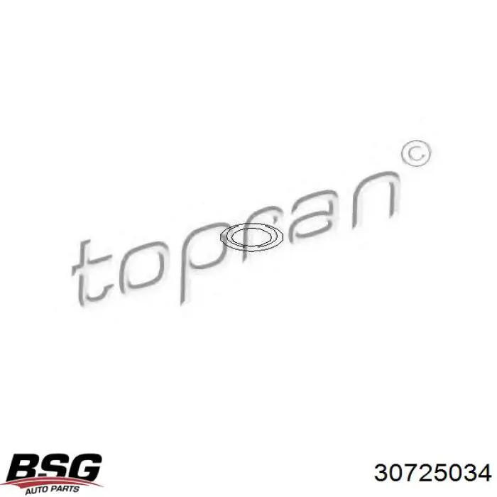 Патрубок високого тиску гідропідсилювача BSG 30725034 ціна, від 42.95 USD