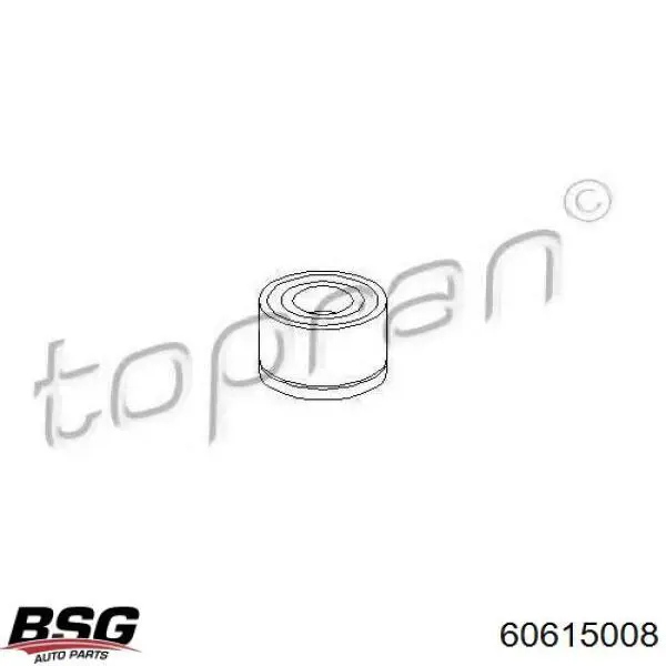 60615008 BSG Підшипник натягувача приводного ременя