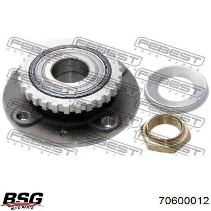 70600012 BSG Маточина задня
