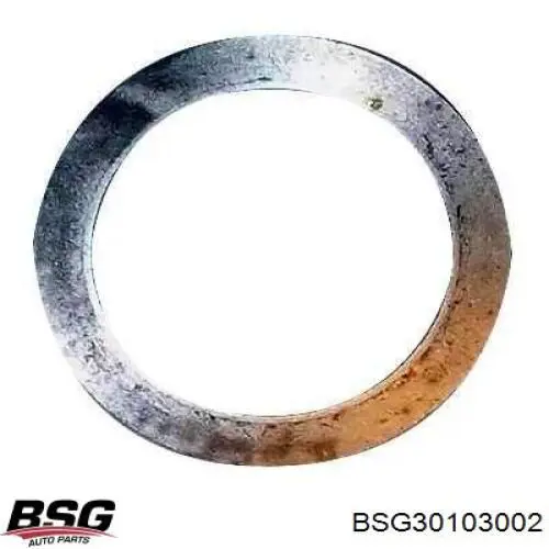 Купити 1S7G6306CE Ford Зірка колінчастого вала