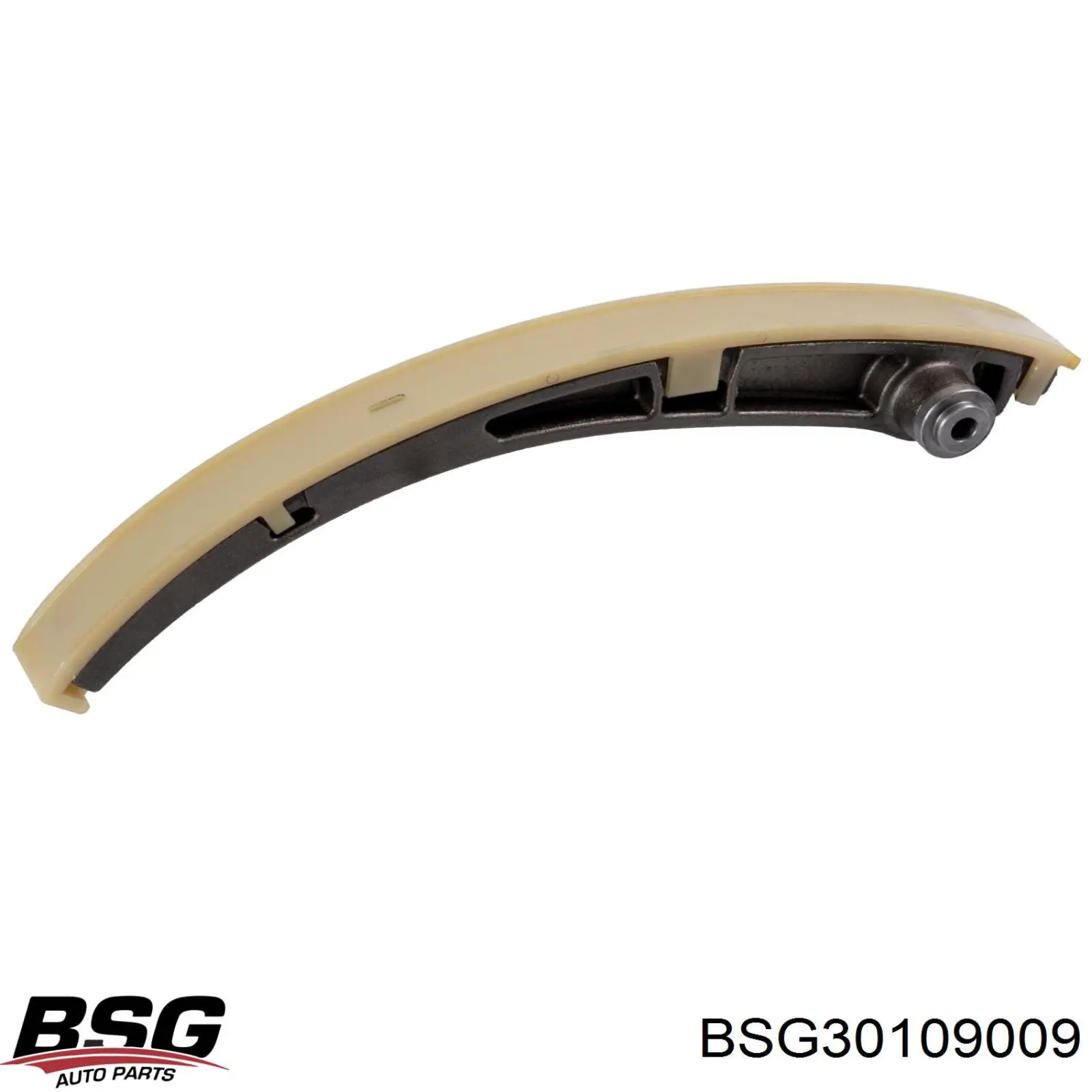  BSG30109009 BSG