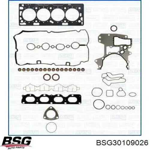 BSG30109026 BSG зірка-шестерня приводу розподілвала двигуна