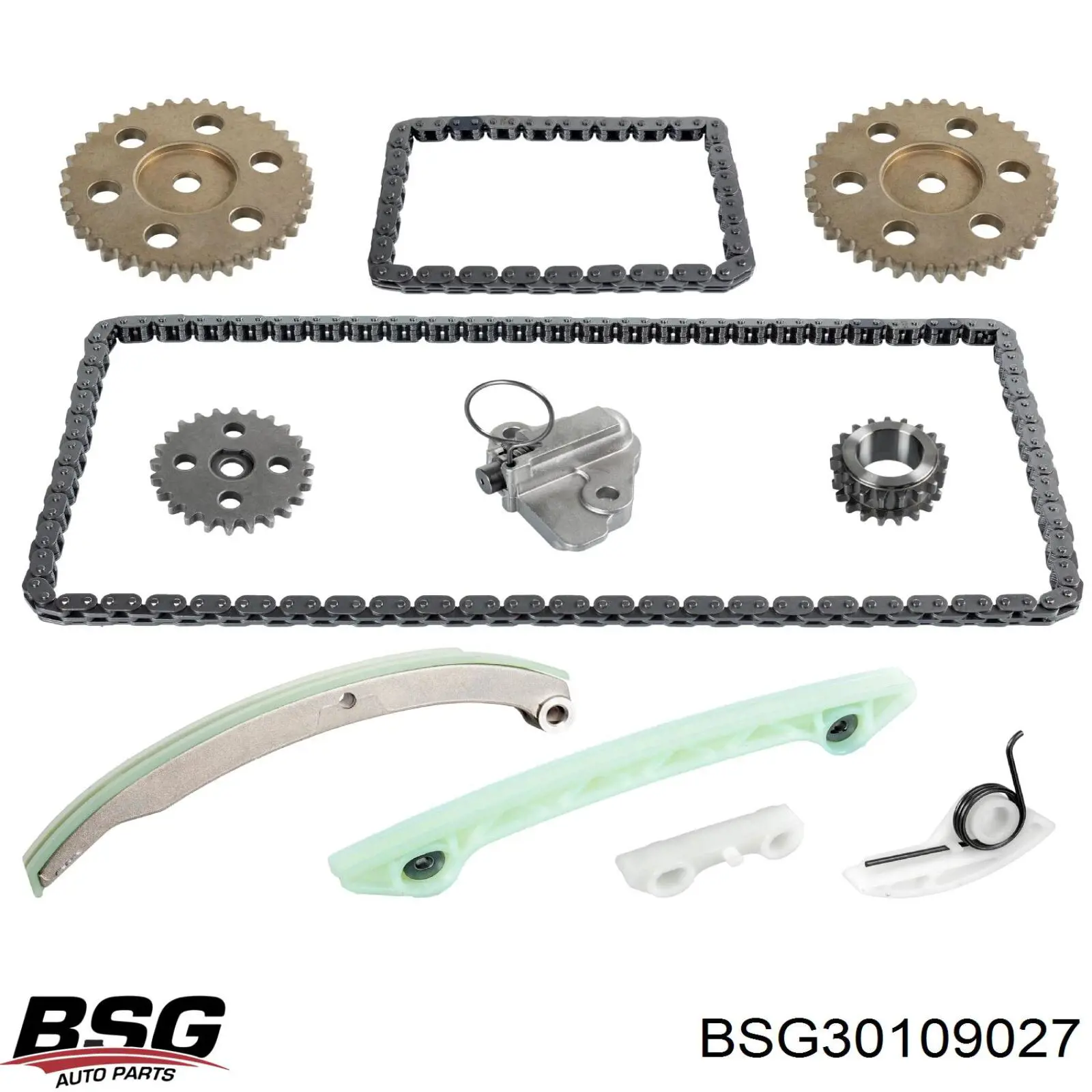 Ланцюг маслянного насосу BSG30109027 BSG