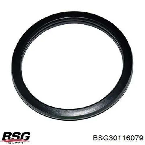 Прокладка термостата BSG BSG30116079 ціна, від 3.16 USD