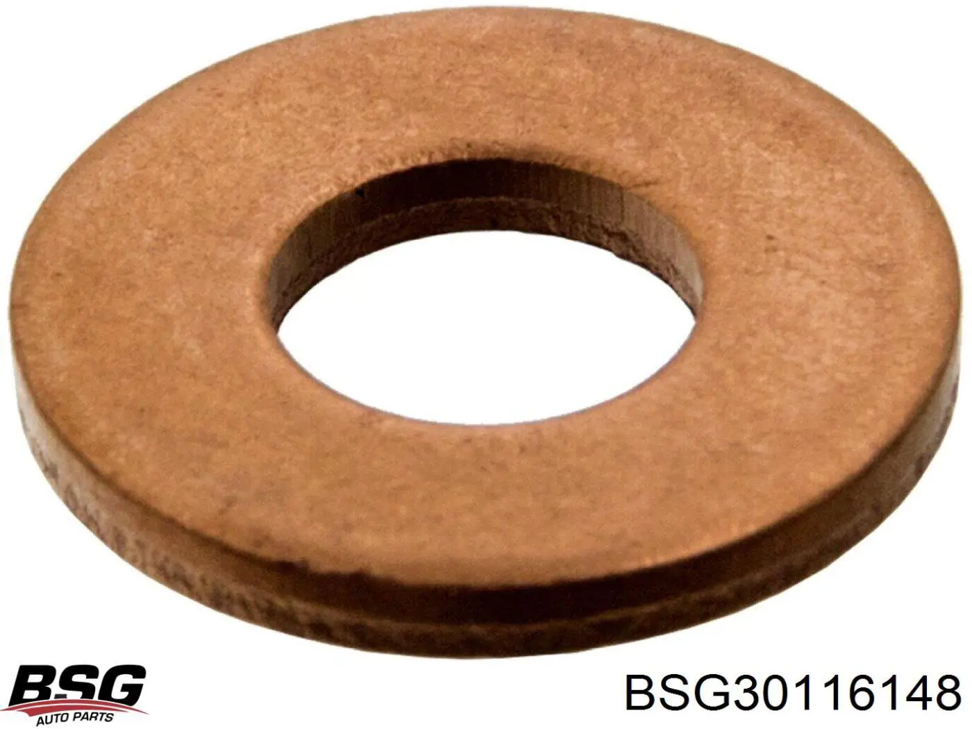 Кільце форсунки BSG30116148 BSG