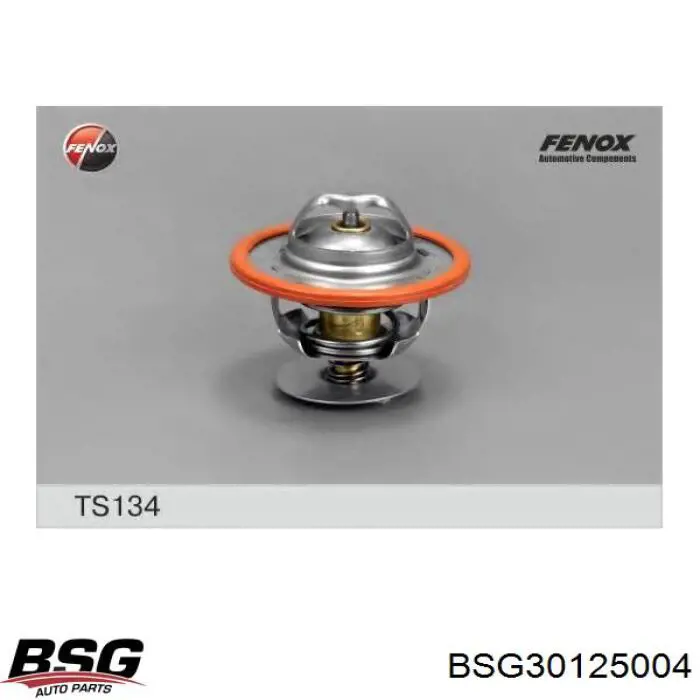 Купити BSG30125004 BSG Термостат в корпусі