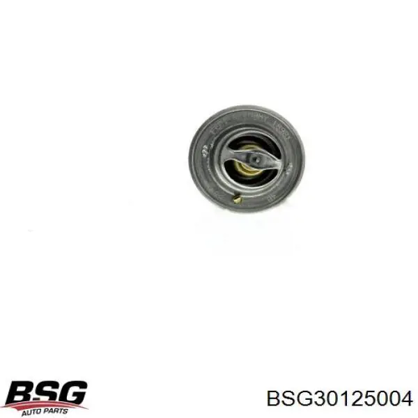 Термостат BSG30125004 BSG
