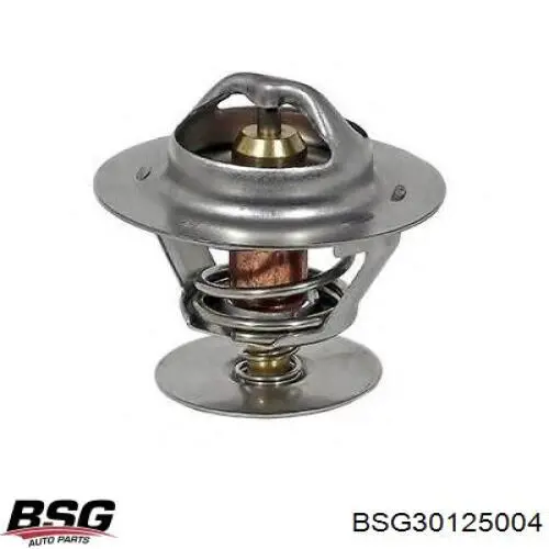 Термостат в зборі BSG BSG30125004
