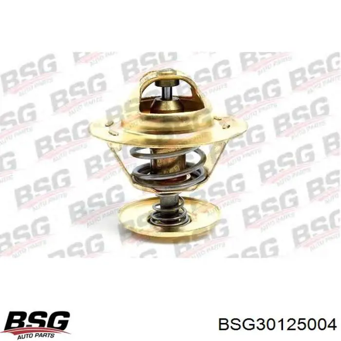 Автомобільний термостат BSG BSG30125004 ціна, від 7.68 USD