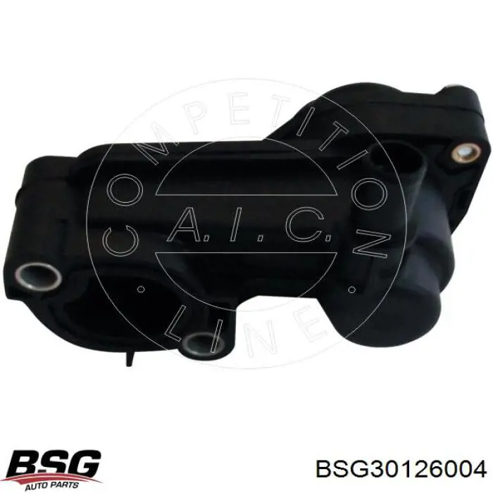 BSG30126004 BSG Корпус термостата в зборі