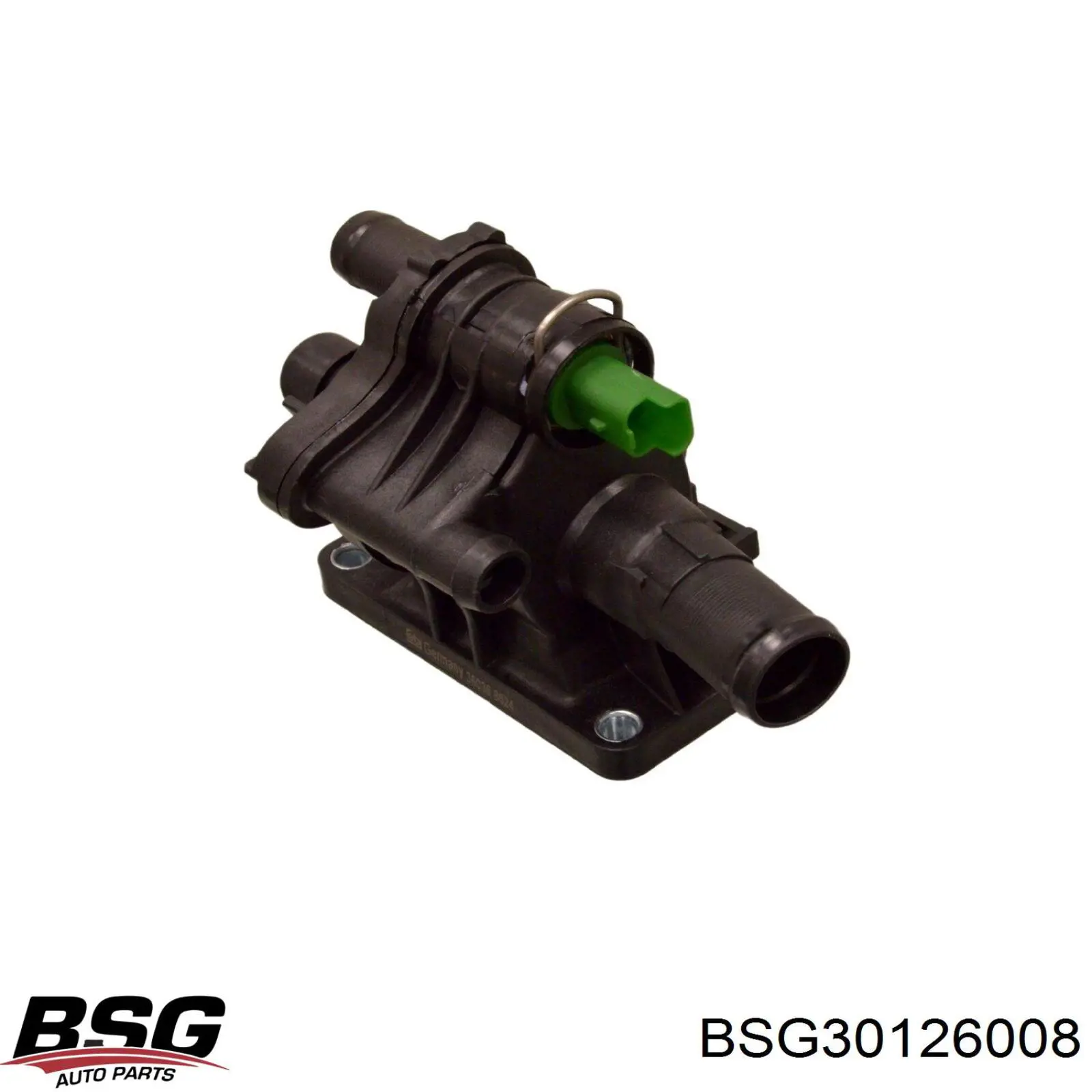 BSG30126008 BSG термостат