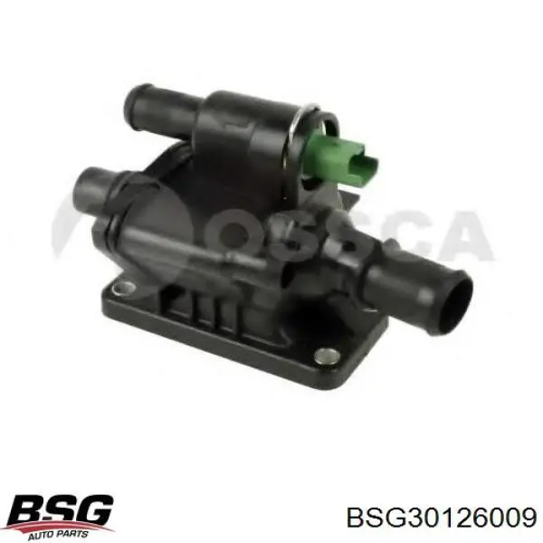 BSG30126009 BSG термостат