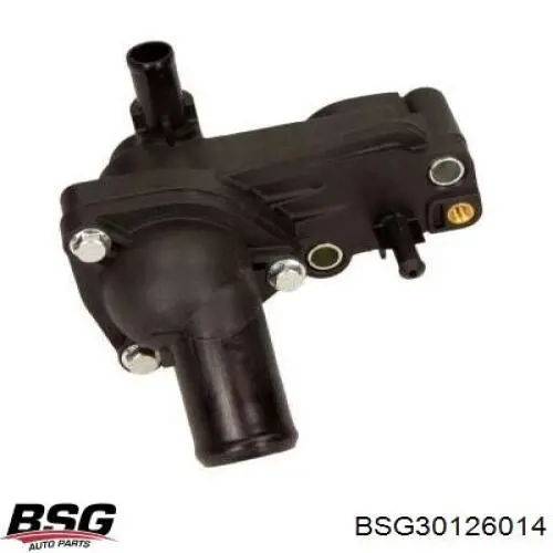 BSG30126014 BSG кришка термостата