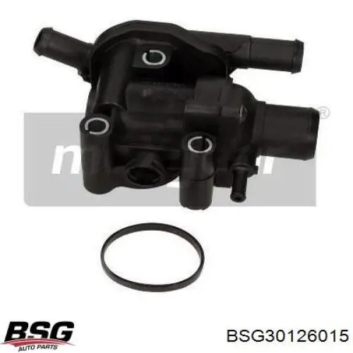 BSG30126015 BSG корпус термостата