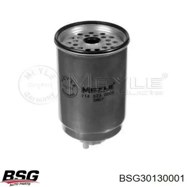 BSG30130001 BSG фільтр паливний