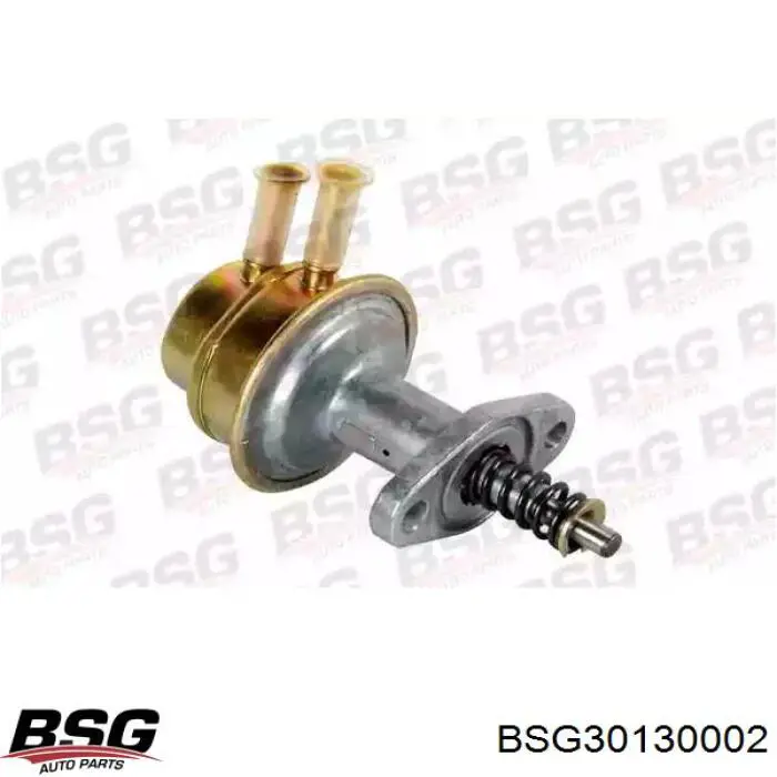 Паливний фільтр BSG30130002 BSG