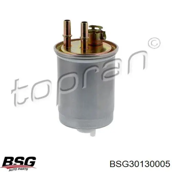 BSG30130005 BSG фільтр паливний