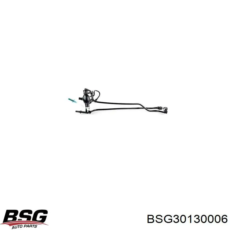 Фільтр паливний BSG BSG30130006