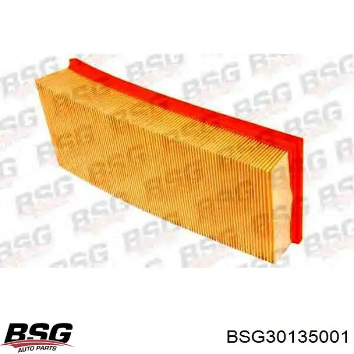 BSG30135001 BSG фільтр повітряний