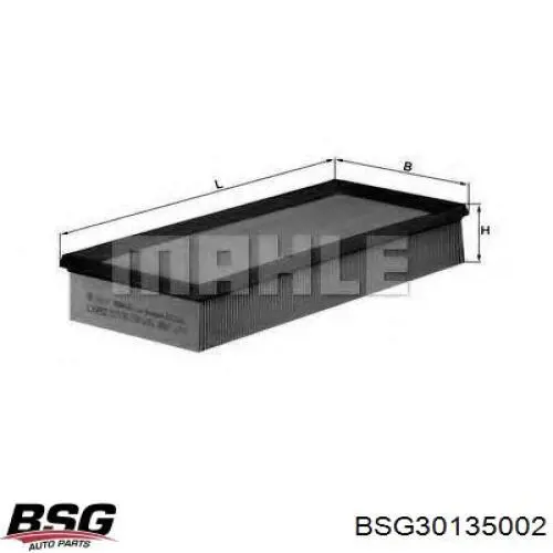 Елемент повітряного фільтра BSG BSG30135002 ціна, від 4.25 USD