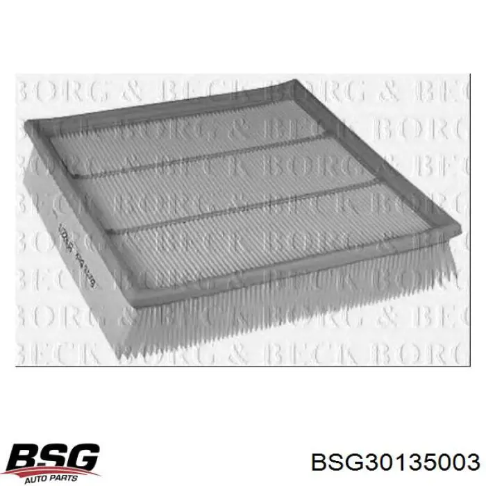 BSG30135003 BSG фільтр повітряний